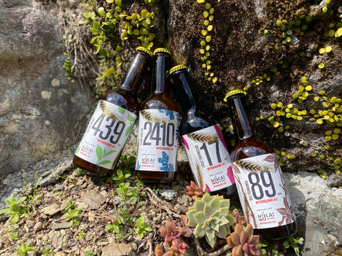 Number Series - 4 Pack