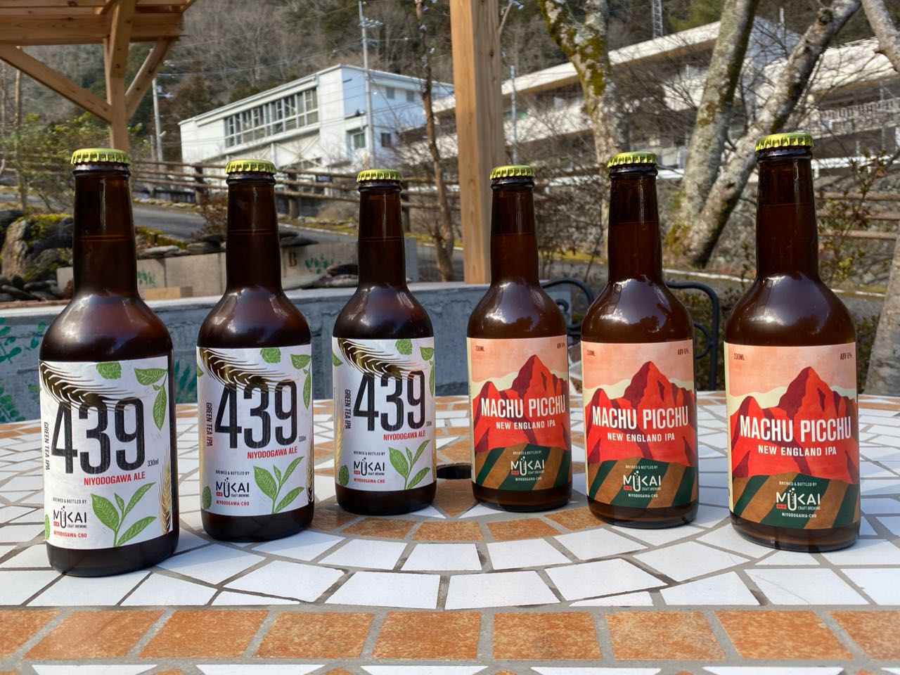 6-bottle IPA set