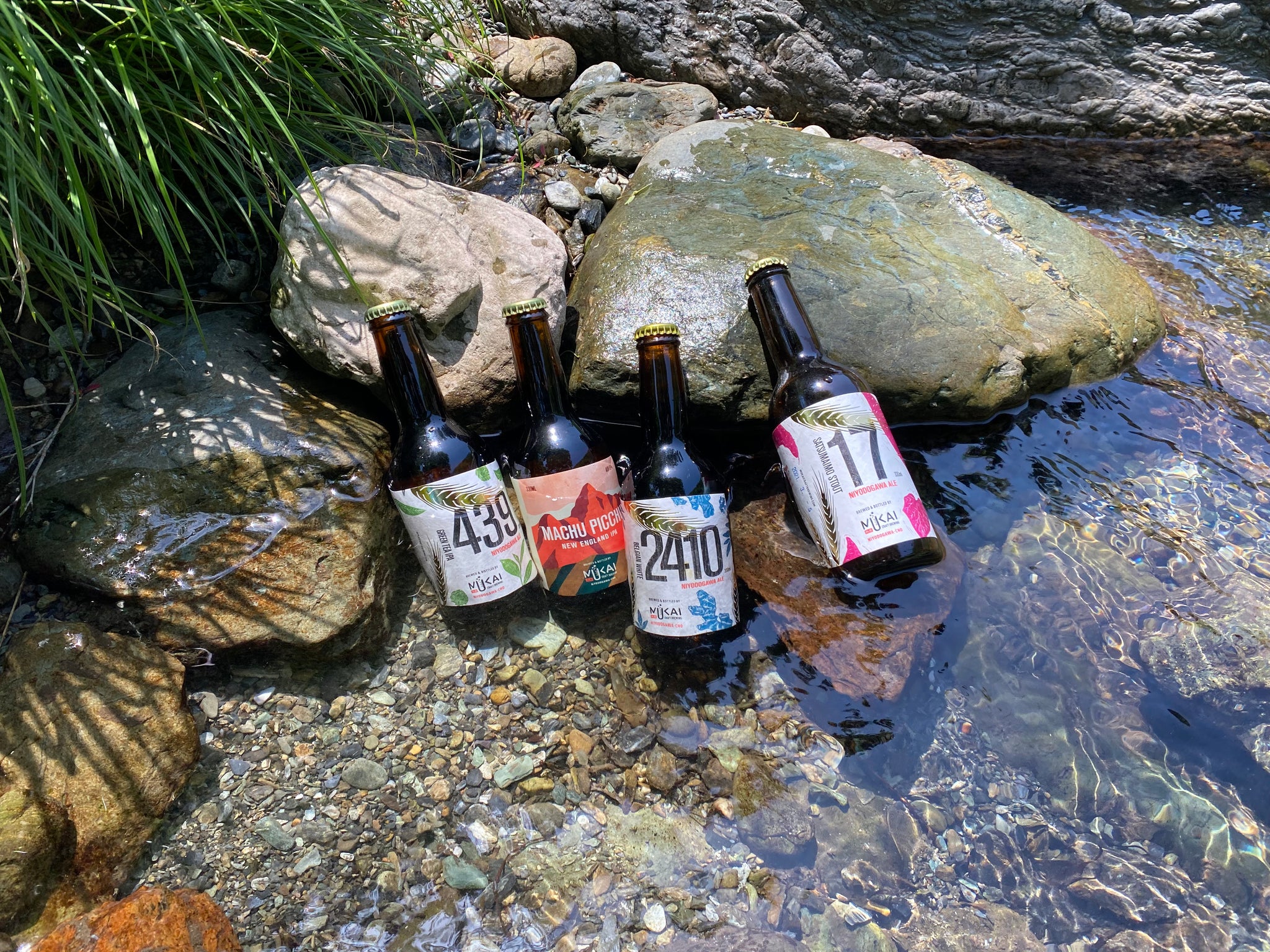 4-bottle Variety Pack