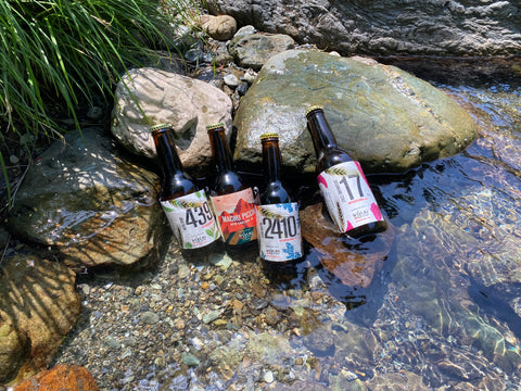 4-bottle Variety Pack